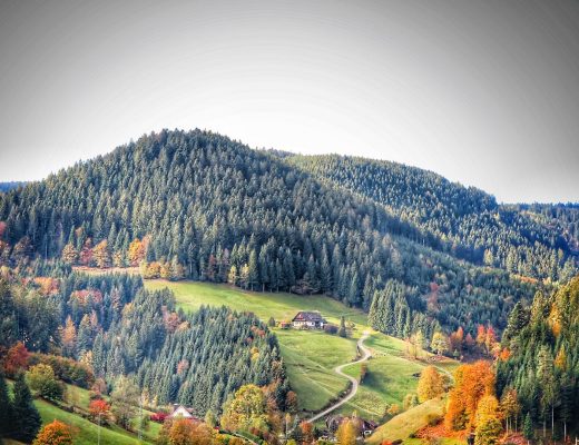 Familienurlaub im Schwarzwald: Eine herbstliche Foto-Love-Story