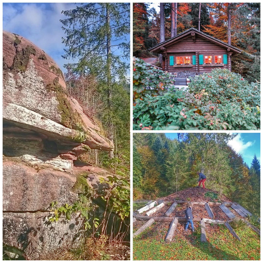 Schwarzwald Collage