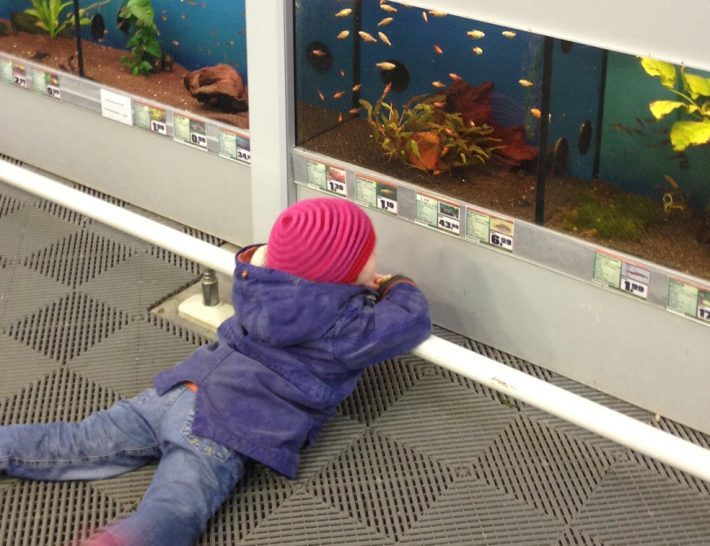 Haustiere für Kinder: dann eben ein Fisch!