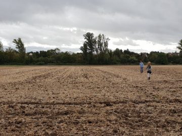 Traumatisierte Scheidungskinder? Wie nach einer Trennung ein guter Umgang gelingen kann
