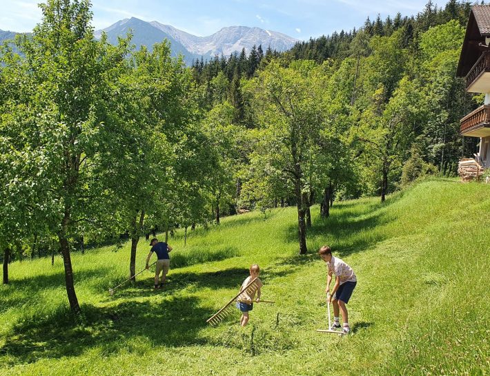 Unser Familienurlaub in Oberösterreich: wandern und genießen in Phyrn-Priel!